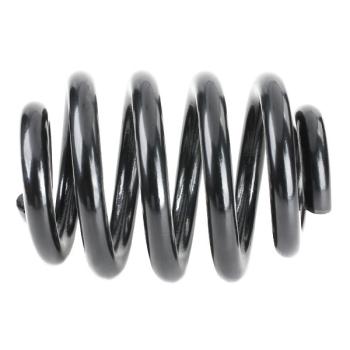 Reinforced rear axle coil spring (4295060), VW Multivan/Transporter T5/T6